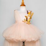 Beautiful Butterfly Dress