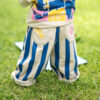 Blue Strip Pant - Image 6